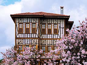 Safranbolu Meymune Valide Konağı